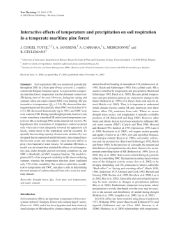 Interactive effects of temperature and precipitation on soil respiration