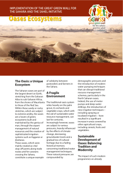 Oases Ecosystems