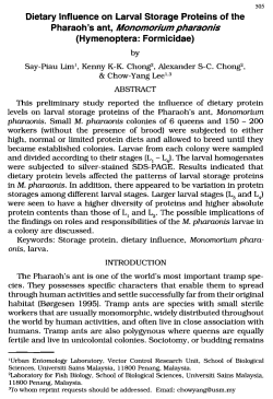 Dietary Influence on Larval Storage Proteins of the Pharaoh `s ant