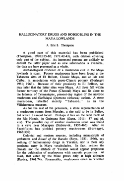 Tlalocan VII-Reescanneado completo 3