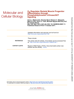 Signaling Phosphatidylinositol 3-Kinase/AKT