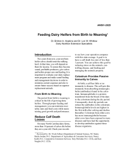 Feeding Dairy Heifers From Birth to Weaning