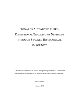 Charita Bhikha - Masters Dissertation Only