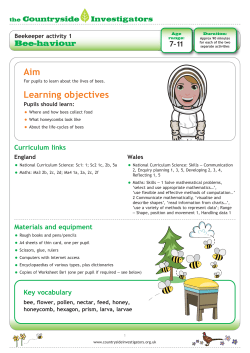 Bee-haviour - the Countryside Investigators