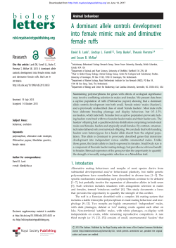 A dominant allele controls development into female mimic male and