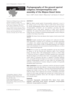 Phylogeography of the ground squirrel subgenus Xerospermophilus