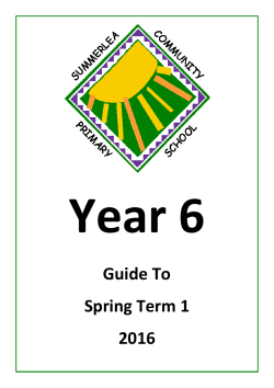 Guide To Spring Term 1 2016