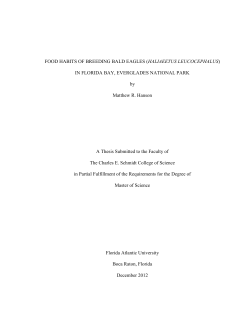 FOOD HABITS OF BREEDING BALD EAGLES (HALIAEETUS