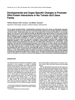 Developmental and Organ-Specific Changes in Promoter DNA