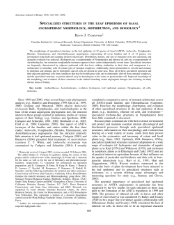 specialized structures in the leaf epidermis of basal