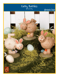 Funny Bunnies - Artist`s Club