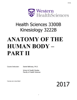 anatomy of the human body &ndash; part ii 2017