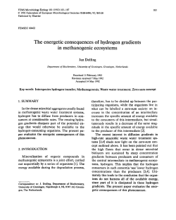The energetic consequences of hydrogen gradients in