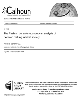 The Pashtun behavior economy an analysis of decision making in