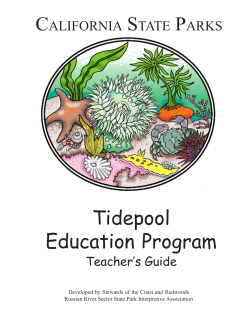 Tidepool Teacher`s Guide - Stewards of the Coast and Redwoods