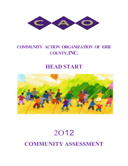 headstart community assessment - Community Action Organization