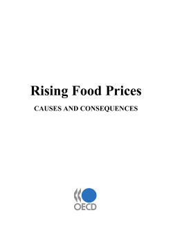 Rising Food Prices