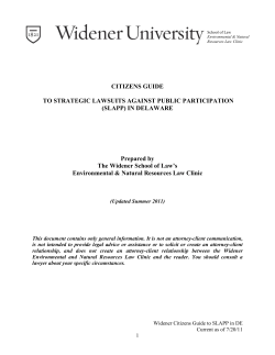 DE_Citizens_Guide_to_SLAPP