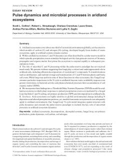 Pulse dynamics and microbial processes in aridland ecosystems