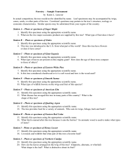Forestry &ndash; Sample Tournament