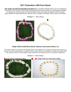 2017 Graduation LEIS from Hawaii