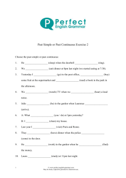 Past Simple or Past Continuous Exercise 2