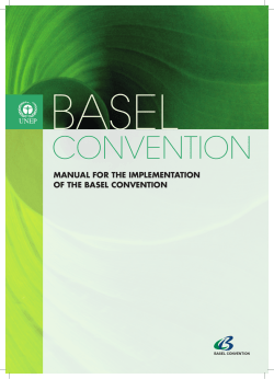 MANUAL FOR THE IMPLEMENTATION OF THE BASEL