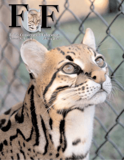 Feline Conservation Federation Feline Conservation Federation