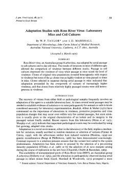 Adaptation Studies with Ross River Virus