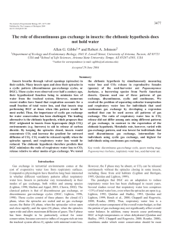 The role of discontinuous gas exchange in insects: the chthonic