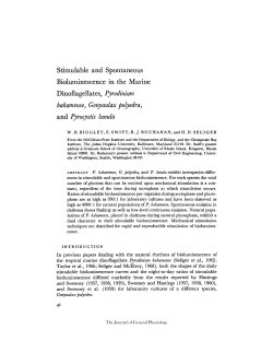 bahamense, Gonyaulax polyedra, and Pyrocystis