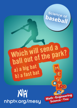 Baseball Card