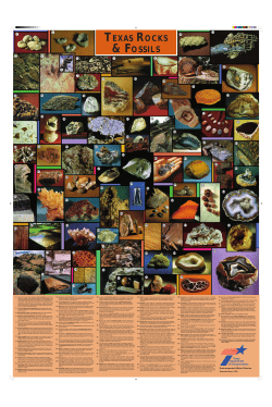 TEXAS ROCKS
