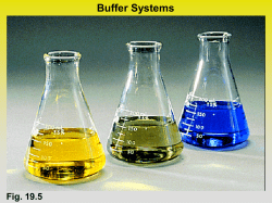 Buffer Systems - Wando High School