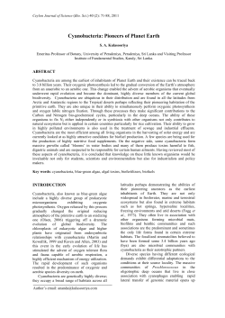 Cyanobacteria: Pioneers of the planet earth