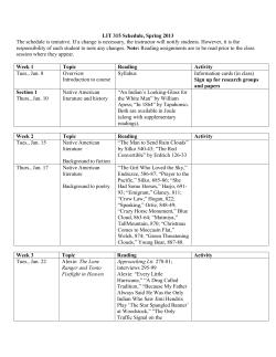 Multi-Ethnic Literature