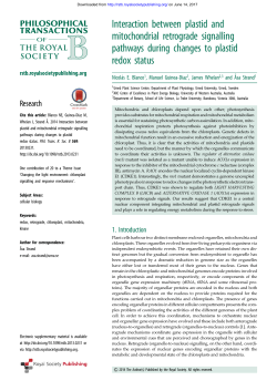 Interaction between plastid and mitochondrial retrograde signalling