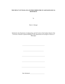 The Impacts of Wildland and Prescribed Fire on