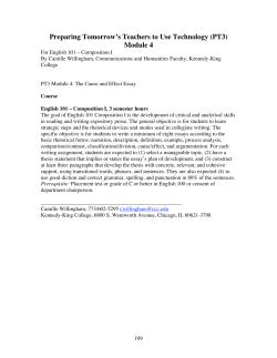 as a PDF