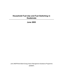 Household Fuel Use and Fuel Switching in Guatemala