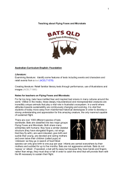 1 Teaching about Flying Foxes and Microbats Australian Curriculum