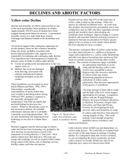DECLINES AND ABIOTIC FACTORS Yellow