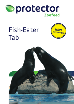 Fish-Eater Tab