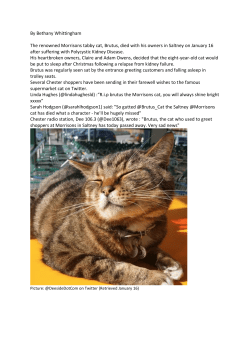 By Bethany Whittingham The renowned Morrisons tabby cat, Brutus