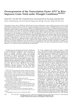 Overexpression of the Transcription Factor AP37