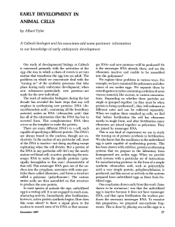 early development in animal cells