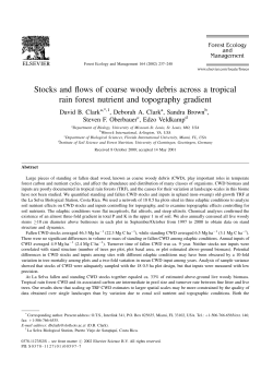 Stocks and flows of coarse woody debris across a tropical rain forest