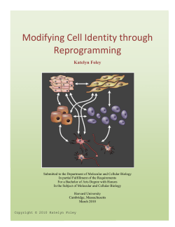 transcript of the animation