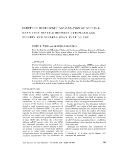 electron microscope localization of nuclear rna`s