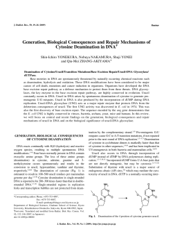 Generation, Biological Consequences and Repair - J